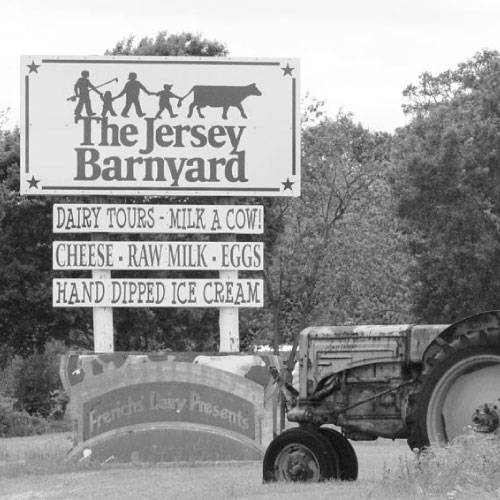 The Jersey Barnyard | Coyote Station