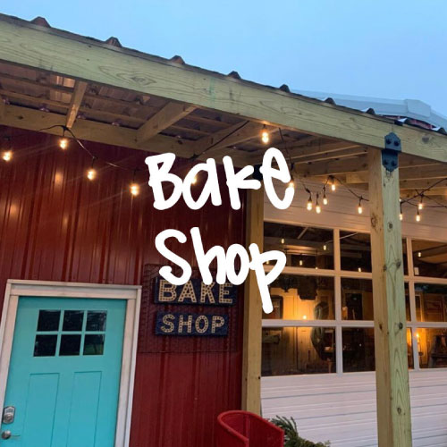 Bake Shop | Coyote Station